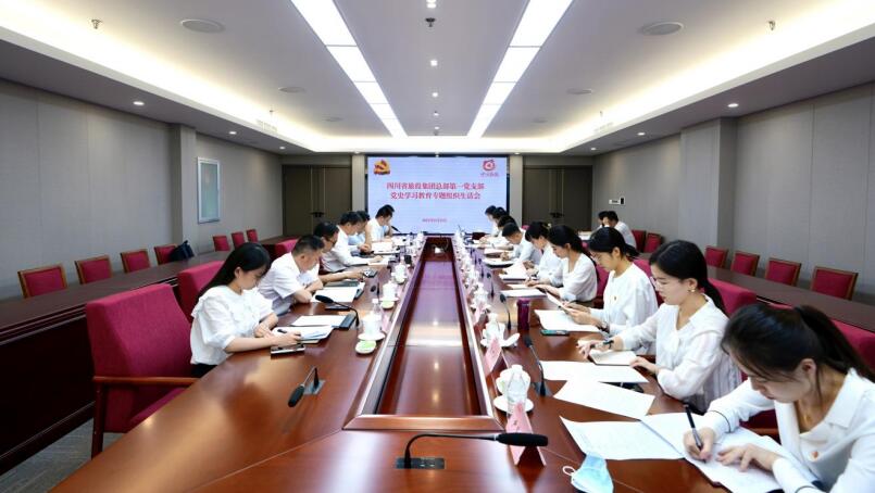 pg赏金女王单机版试玩平台集团党委书记、董事长任丁加入总部第一党支部党史学习教育专题组织生涯会