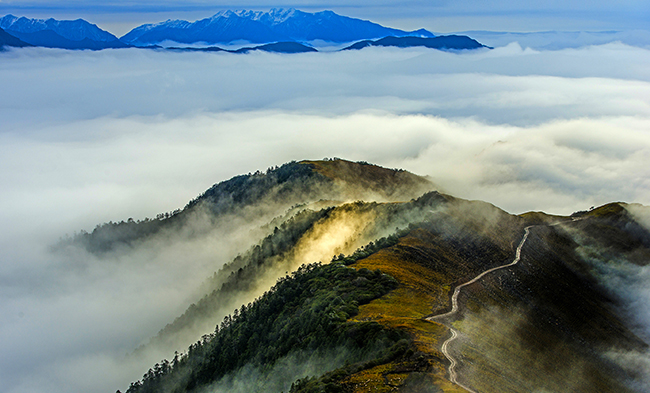 pg赏金女王单机版试玩平台-pg赏金女王单机版试玩平台官方2025最新版11.22.33.350-绿色资源网