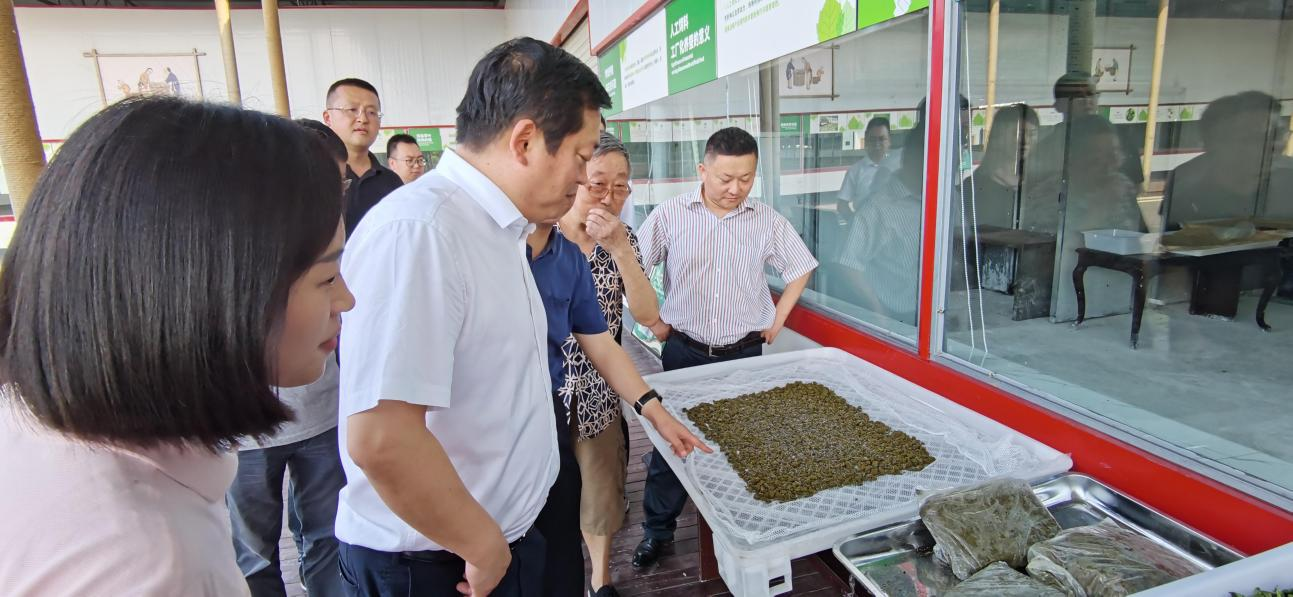 省pg赏金女王单机版试玩平台集团党委副书记、董事陈日赴嘉陵区调研茶桑工业生长情形