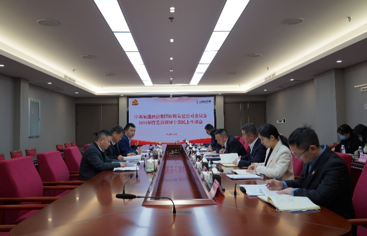 pg赏金女王单机版试玩平台集团党委书记、董事长任丁出席逍遥旅馆集团2022年度党员向导干部民主生涯会