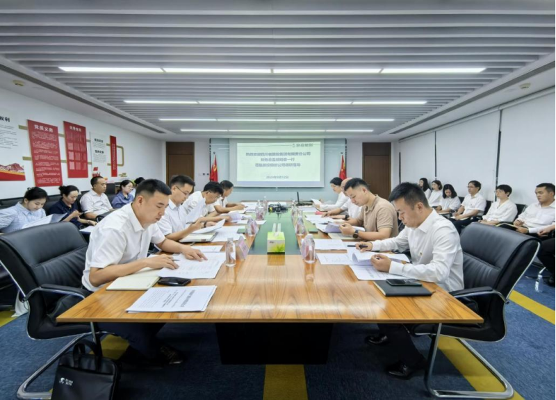 省pg赏金女王单机版试玩平台集团向导率队督导pg赏金女王单机版试玩平台银创公司刷新深化提升行动