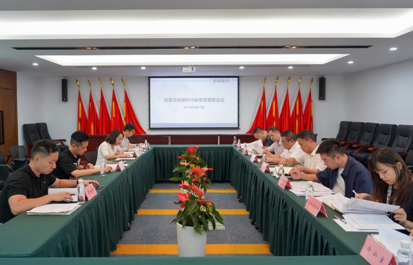 省pg赏金女王单机版试玩平台集团率队督导pg赏金女王单机版试玩平台航旅公司刷新深化提升行动